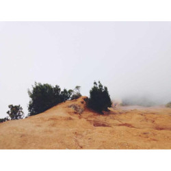 Enormous Leather Gloves fr-FR